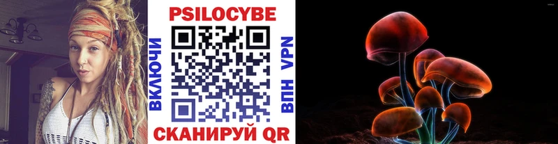 Купить  Курчалой  Галлюциногенные грибы Magic Shrooms 